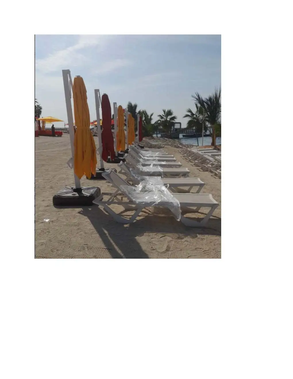 Heavy-duty 360 degree cantilever umbrellas with ochre and burgundy canopies installed on the sand at a beachfront resort in the UAE